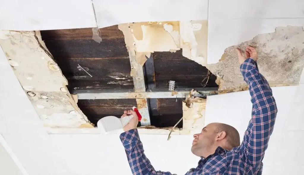 What is Roof Decking? A Comprehensive Guide 2024 13 Signs of Rotten Roof Decking