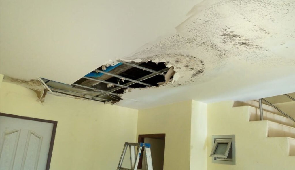 What is Roof Deck Attachment: A Comprehensive Overview 11 Roof Deck Leakge
