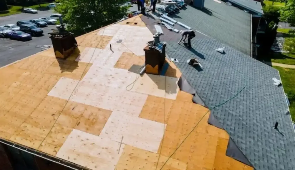 What is the Best Option for Roof Decking in 2024? 8 Plywood reoof sheating