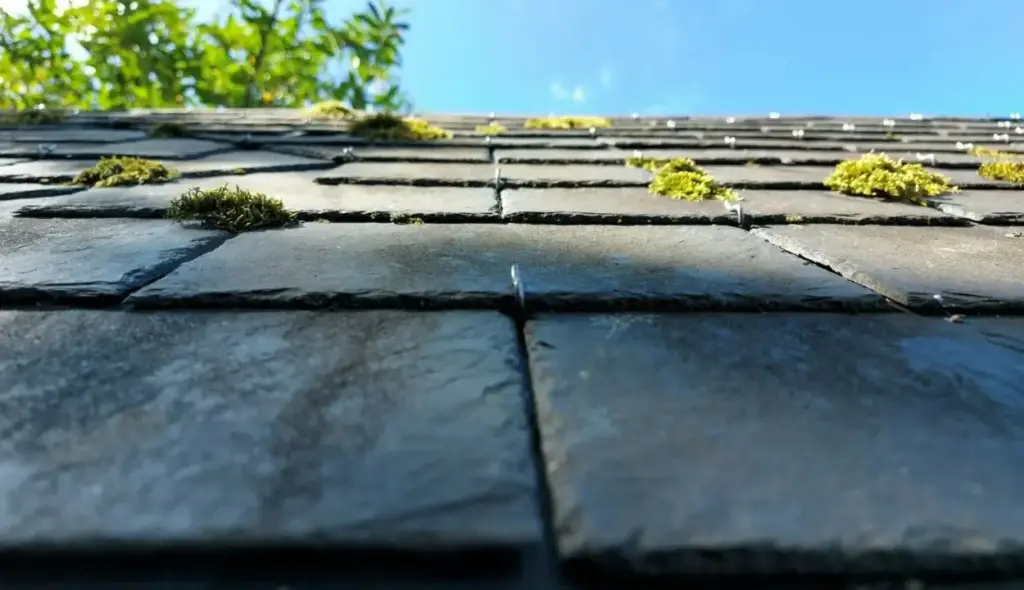 5 Best Roof Decking Materials for Durability and Value in 2024 11 Natural Slate roofs