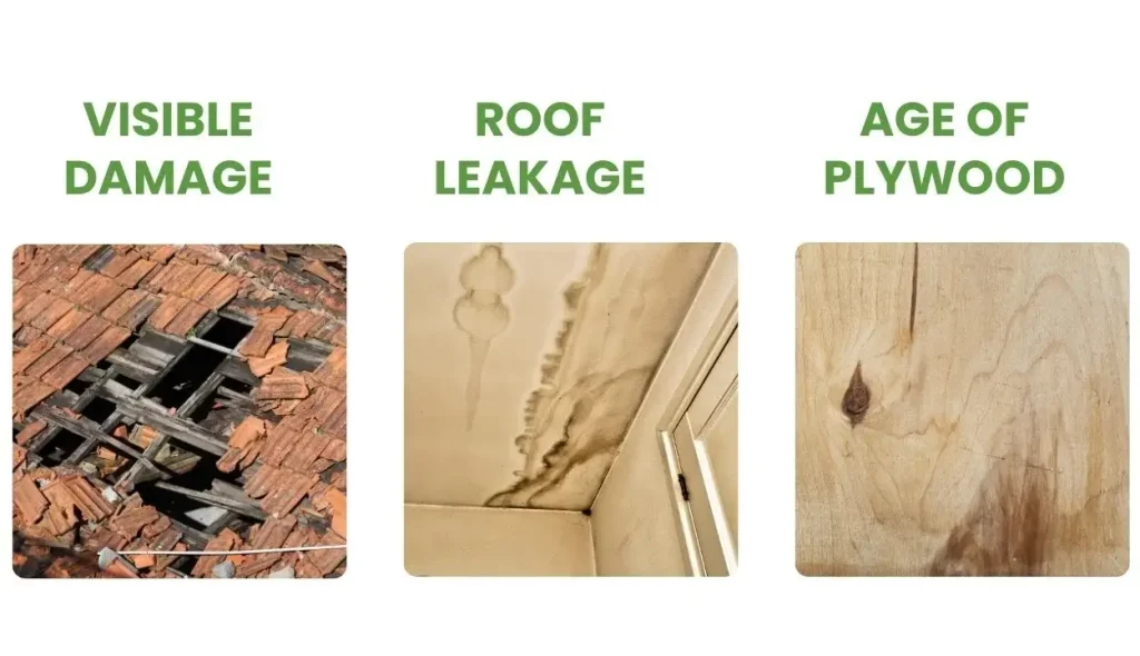 When to Replace Plywood on Roof: A Comprehensive Guide 6 Signs to Replace Plywood on Roof