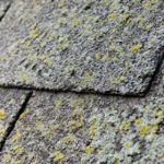 Black Algae on Roof